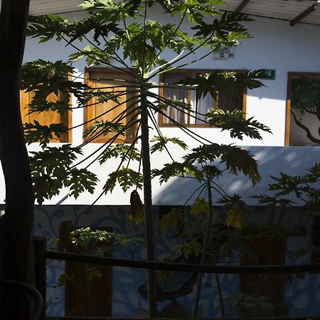 فندق بويرتو بكويريزو مورينوفي  La Casita De La Isla المظهر الخارجي الصورة